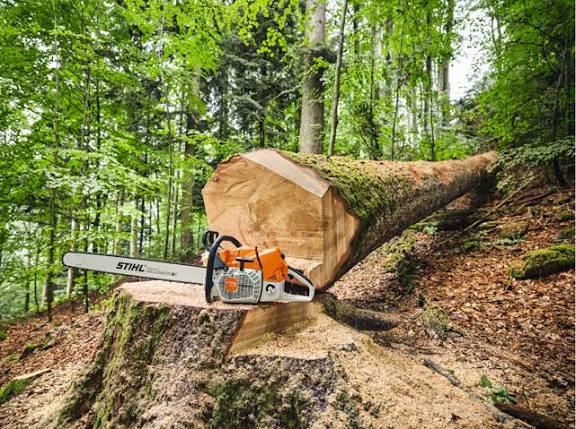 Troconaise à chaîne Stihl !