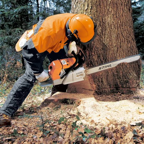 Troconaise à chaîne Stihl !