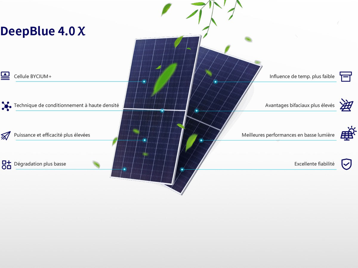 Paneau solaire bifacial 290 à 650W